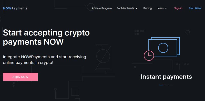 NOWPayments website homepage promotes crypto payments with a call-to-action button labeled "Apply NOW" and encouraging users to start accepting and receiving online crypto payments through leading crypto payment gateways.